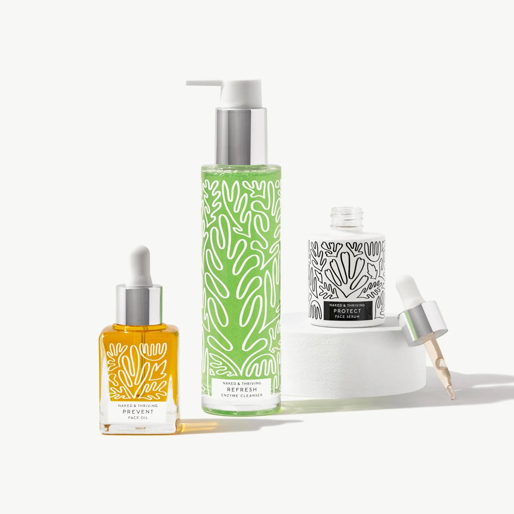 The Day Routine: Refresh, Protect, Prevent