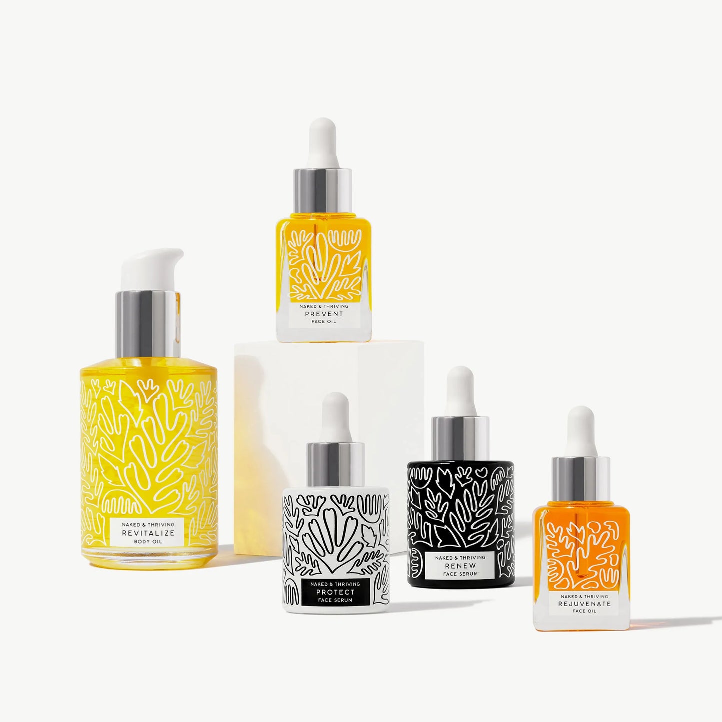 
                
                  The Full Routine: The Day Set, The Night Set, Revitalize
                
              