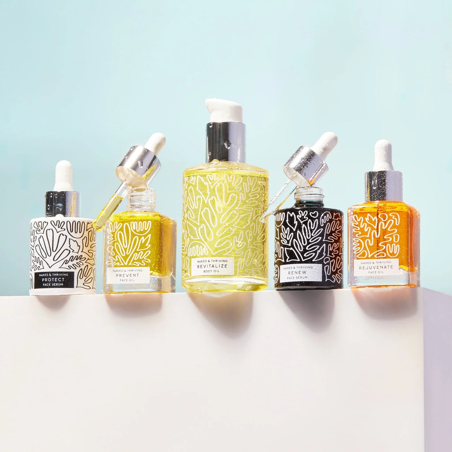 
                
                  The Full Routine: The Day Set, The Night Set, Revitalize
                
              