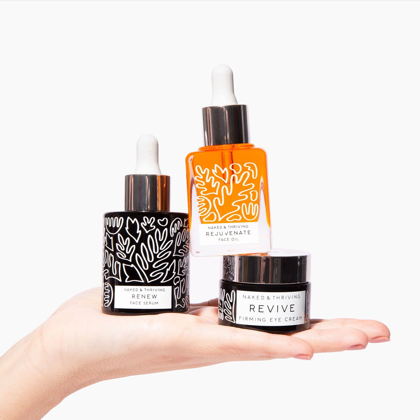 
                
                  Rutina Nocturna Restauradora: Renew, Revive, Rejuvenate
                
              