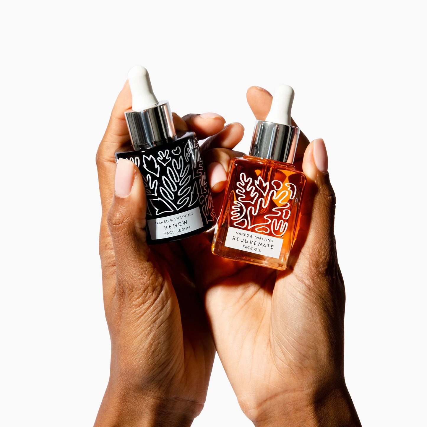 
                
                  Refresh Routine: Refresh, Renew, Rejuvenate
                
              