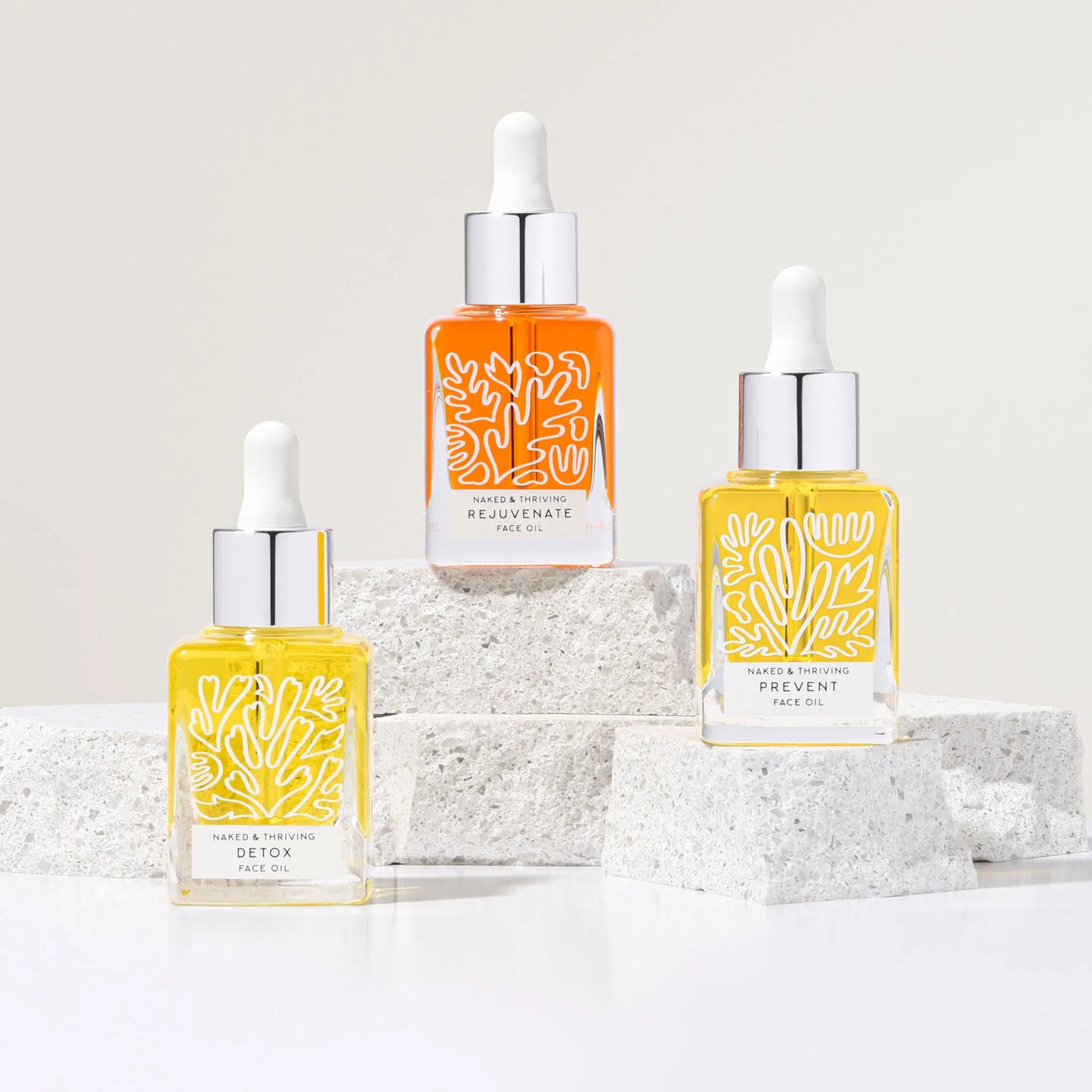 
                
                  El conjunto próspero: prevenir, rejuvenecer, desintoxicar
                
              