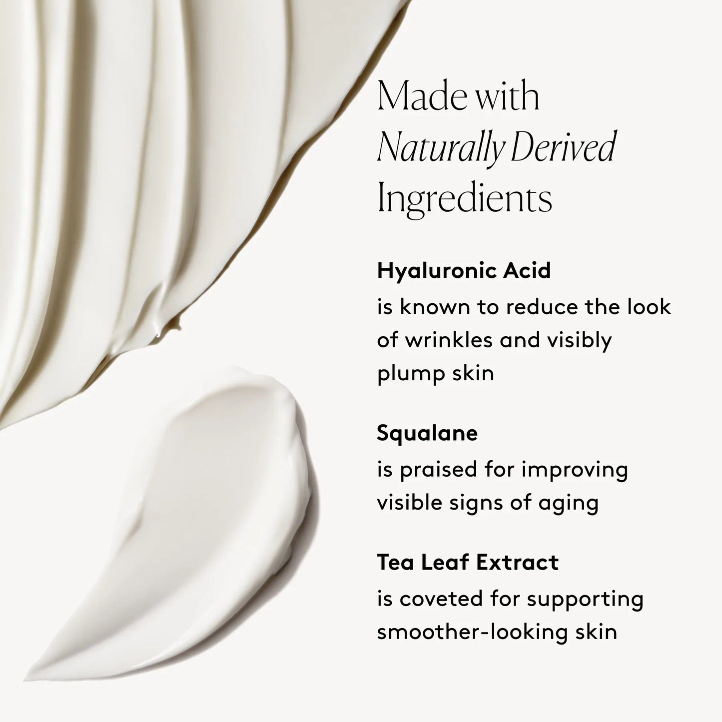 
                
                  Daily Essentials Duo key ingredients graphic with Hyaluronic Acid, Squalane, and Tea Leaf Extract beside product swatches
                
              