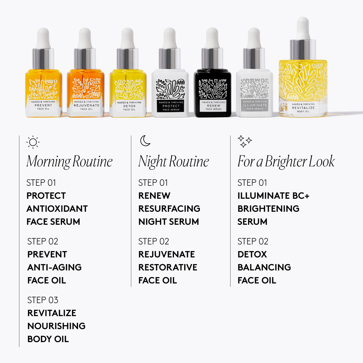 
                
                  Chart grouping serum, face oil, and body oil bottles into routines for morning, night, and visible brightening
                
              