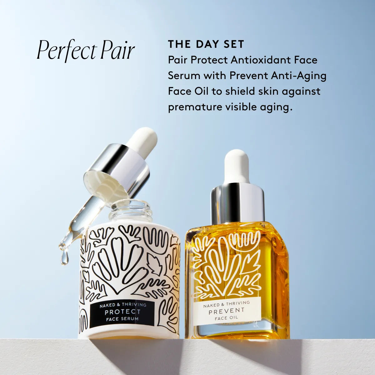 
                
                  Protect Antioxidant Face Serum
                
              