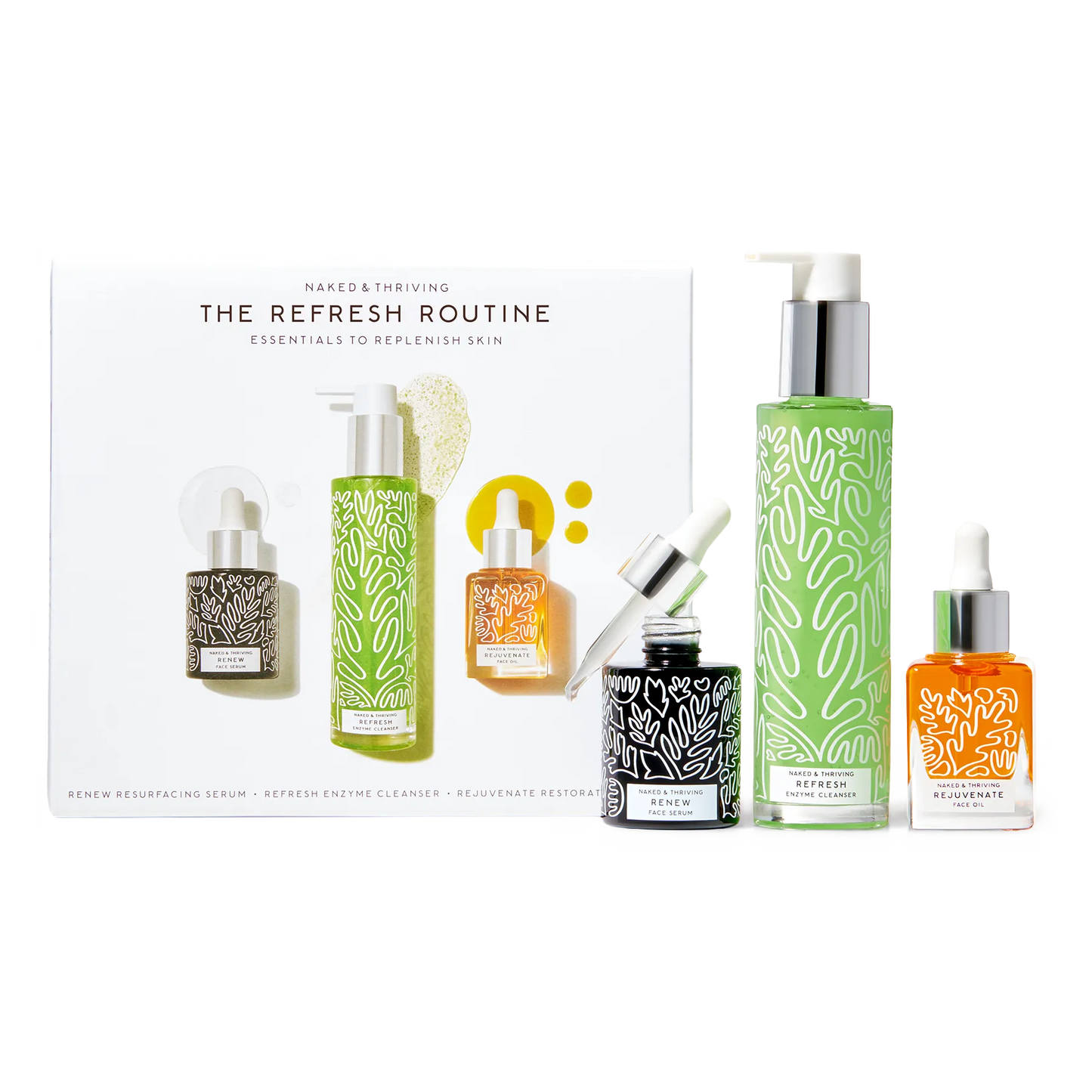 The Refresh Routine: Refresh, Renew, Rejuvenate