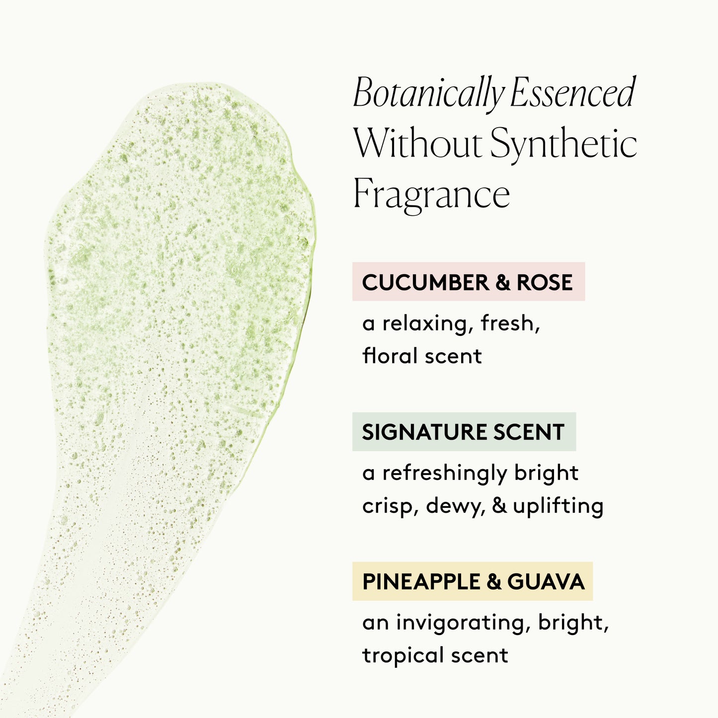 
                
                  Refresh Cleanser Collection: Cleanse, Polish, Glow
                
              