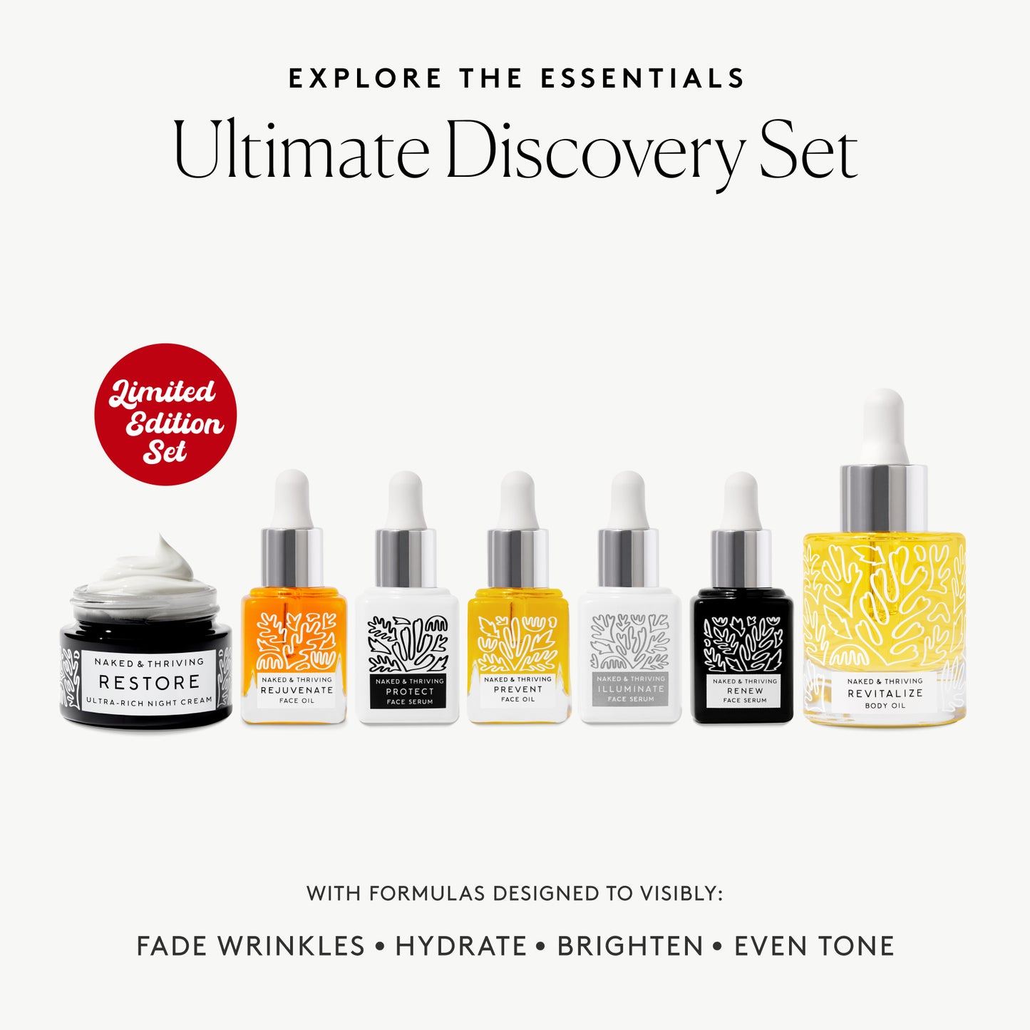 
                
                  Ultimate Discovery Set: Most-Loved Formulas in Mini
                
              